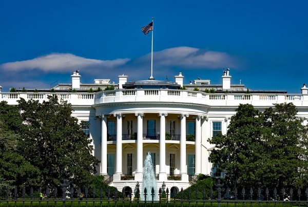 Next 100 Days Under Trump